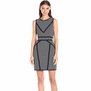 NWT Catherine Malandrino Milano Knit Sheath Dress